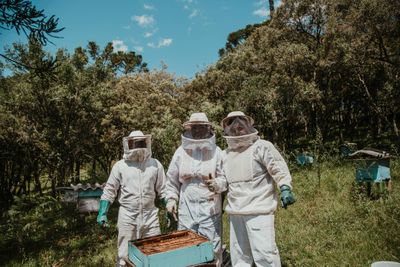 Three people in beesuits stand in back of an open hive.