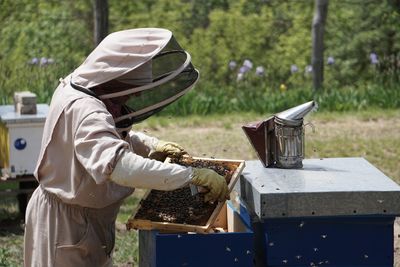 A beekeeper inspecting a frame of bees.